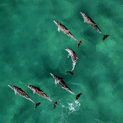 Tek Kullanımlık Plastikler Konusunda Sizi Bir Kere Daha Düşündürecek Belgeseller