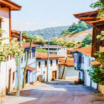 Bursa'nın Köylerini Keşfedin