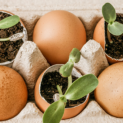 Permakültür Nedir? Yaşam Alanlarında Nasıl Yapılır?