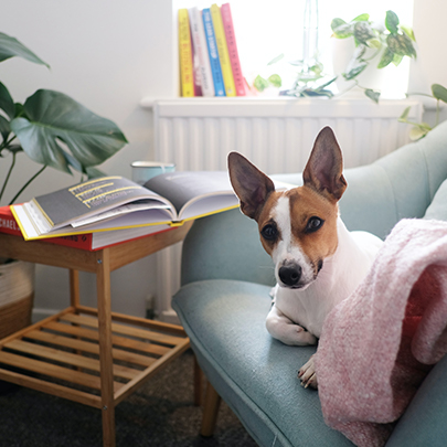 Pati Dostu Teknolojiler İle Aklınız Evde Kalmasın