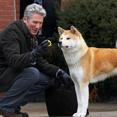 Sevgi Temalı Filmler