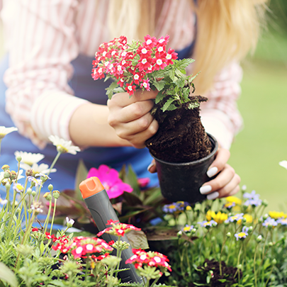 Çiçeklerinize Bahar Bakımı